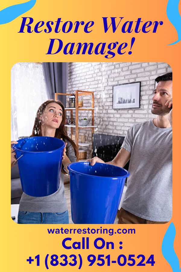 water restoration Royal Water Restoration Solutions Roslyn Heights